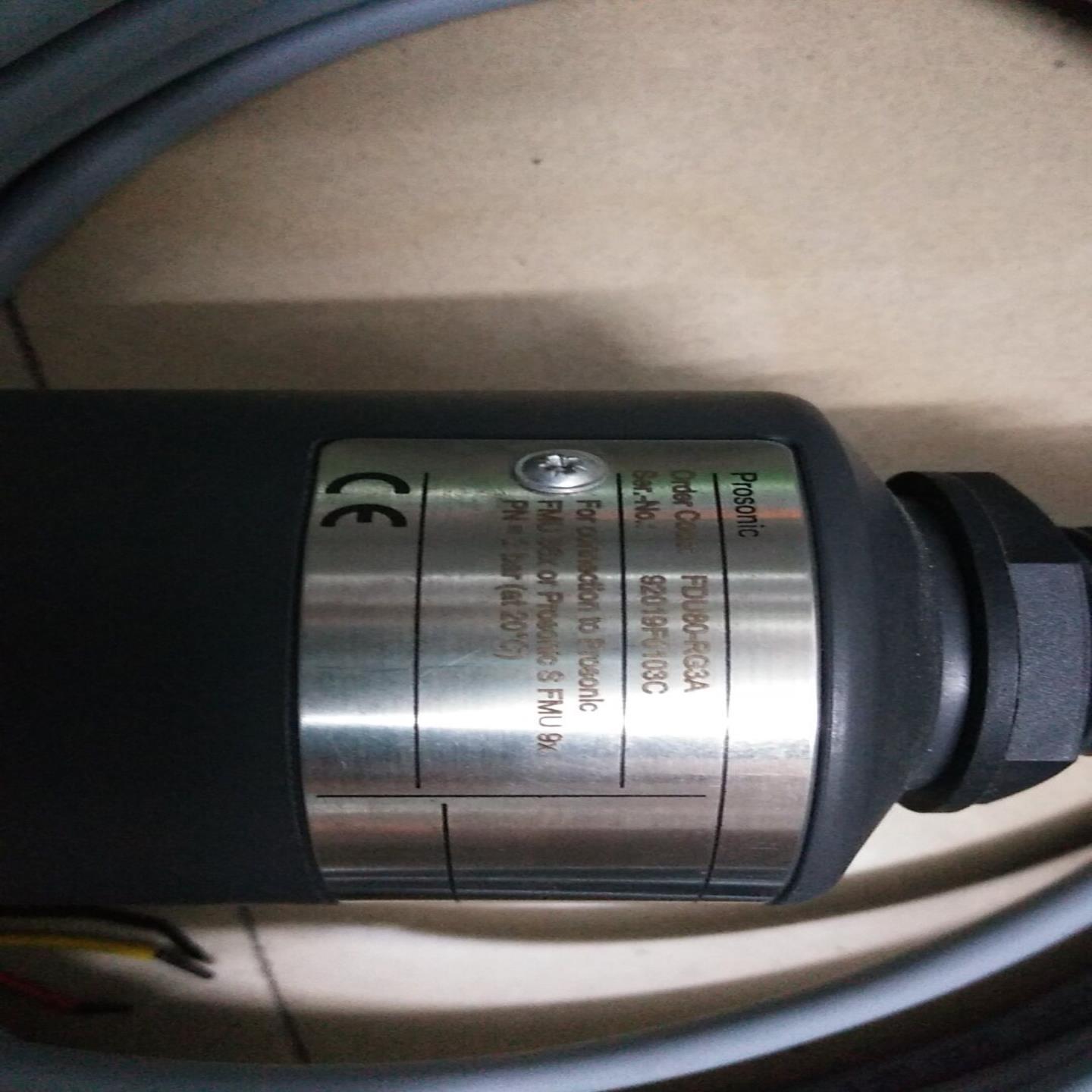 全新无包装正品E+H FDU80-RG3A   现货*