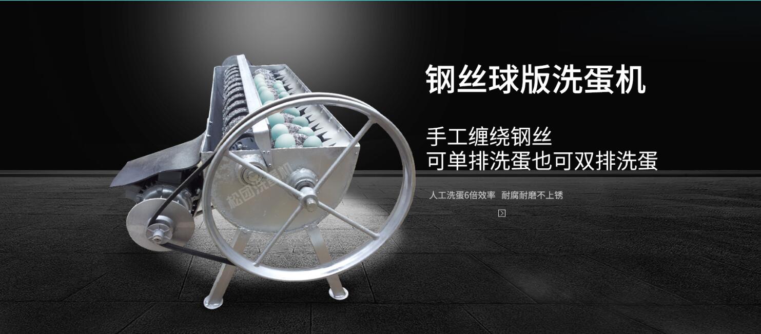 洗蛋机钢丝球版双排放新款清洁速度快无破损代替人工效率高