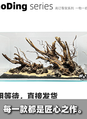 高订骨架一物一拍定制造景成品现货草缸骨架紫柚木杜鹃根泰国枝