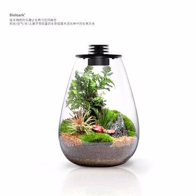 Boloark生态瓶景观瓶水滴玻璃瓶