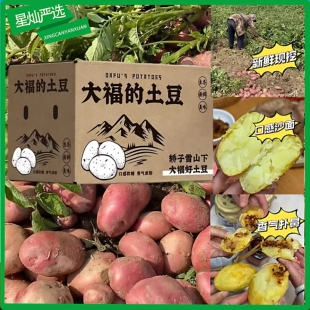 云南高原现挖新鲜红皮黄心沙面土豆皮薄好吃2500g