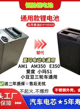 48V20AH锂电池24ah适用爱玛电动车AM1S1E350爱度U2yoyo电瓶非原装