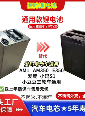 48V20AH锂电池24ah适用爱玛电动车AM1S1E350爱度U2yoyo电瓶非原装