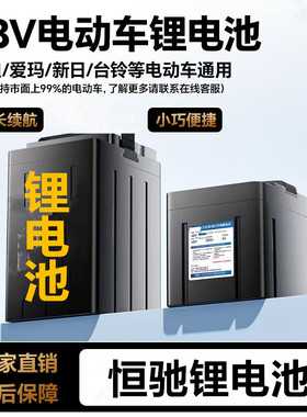 雅迪爱玛车48v锂电池48v24ah台铃金箭锂电池60v20ah