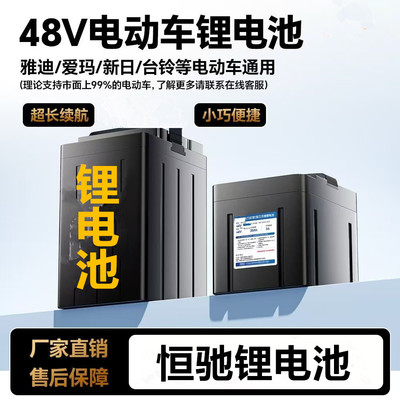 雅迪爱玛车48v锂电池48v24ah台铃金箭锂电池60v20ah