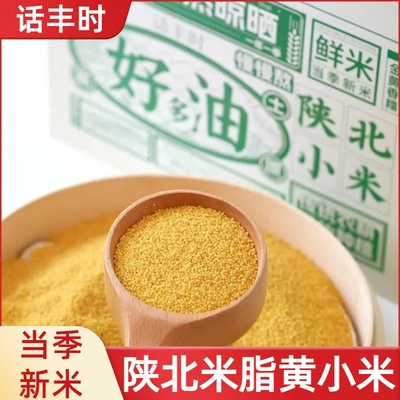 话丰时正宗陕北米脂黄小米特产