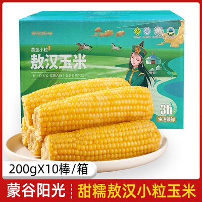 蒙谷阳光甜糯敖汉小粒玉米新鲜甜糯真空包装非转基因速食早餐