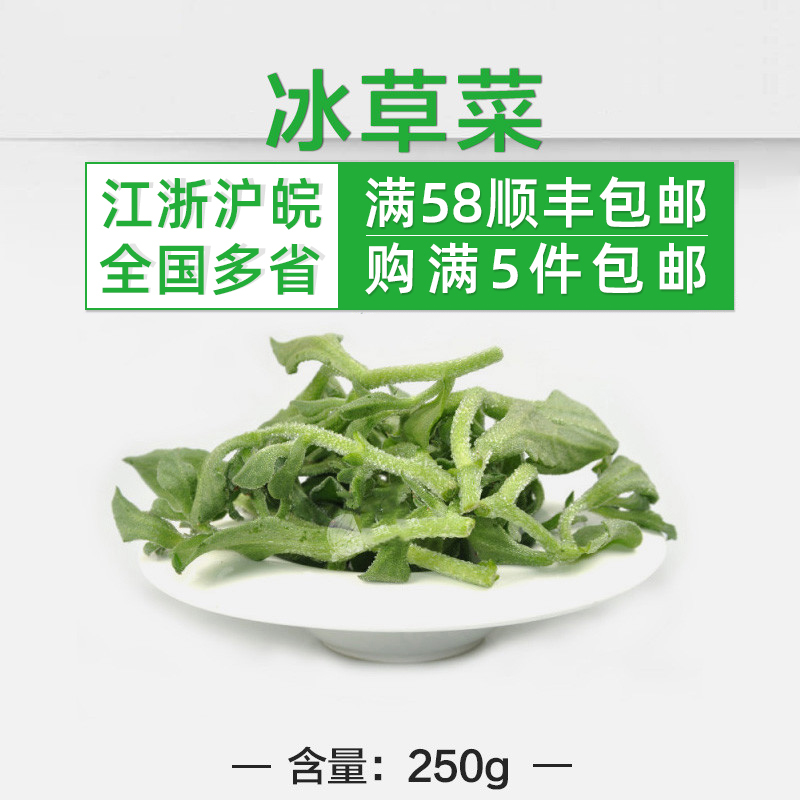 冰草菜250g新鲜蔬菜非洲冰草冰菜沙拉色拉菜5件顺丰