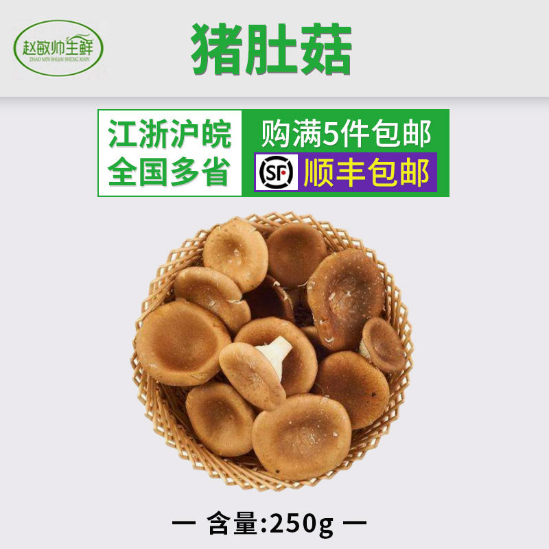 新鲜菌菇 猪肚菇大杯伞大漏斗菌江浙沪5件包邮