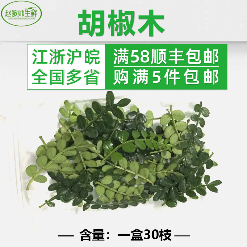 新鲜胡椒木/香叶子 一盒30支 5盒江浙沪皖顺丰包邮西餐日料酒店摆