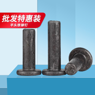 ￠8￠10每1公斤敲击铆钉 实惠平头铁铆钉铁本色GB109实心￠2