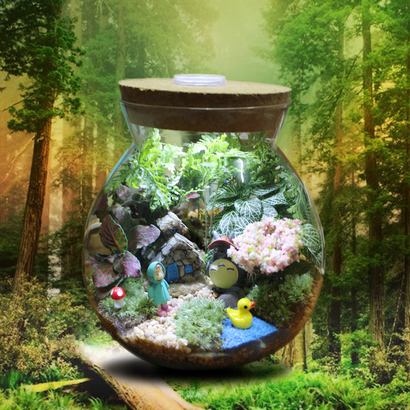 苔藓微景观桌面生态瓶创意夜灯龙猫diy绿植物玻璃盆栽生日礼物