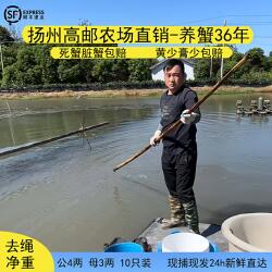 高邮湖大闸蟹鲜活特大螃蟹3两母蟹4两公蟹10只装自产自销