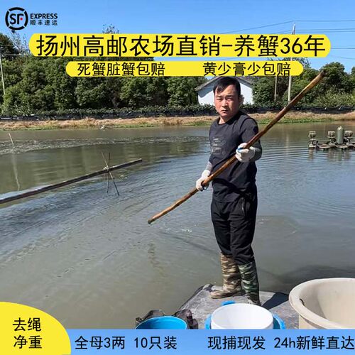 高邮湖大闸蟹自产自销精品特惠