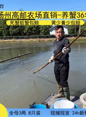 高邮湖自产自销物美价廉