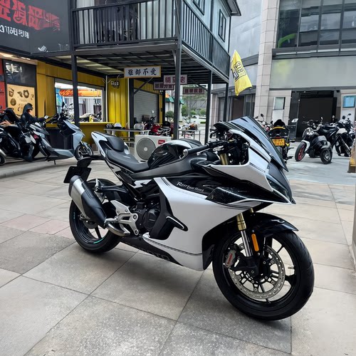 适用于春风450SR全车版画可定制