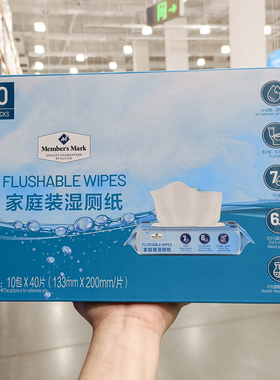 山姆家庭装湿厕纸巾10包*40片抽取式清洁擦屁股卫生纸可冲入马桶
