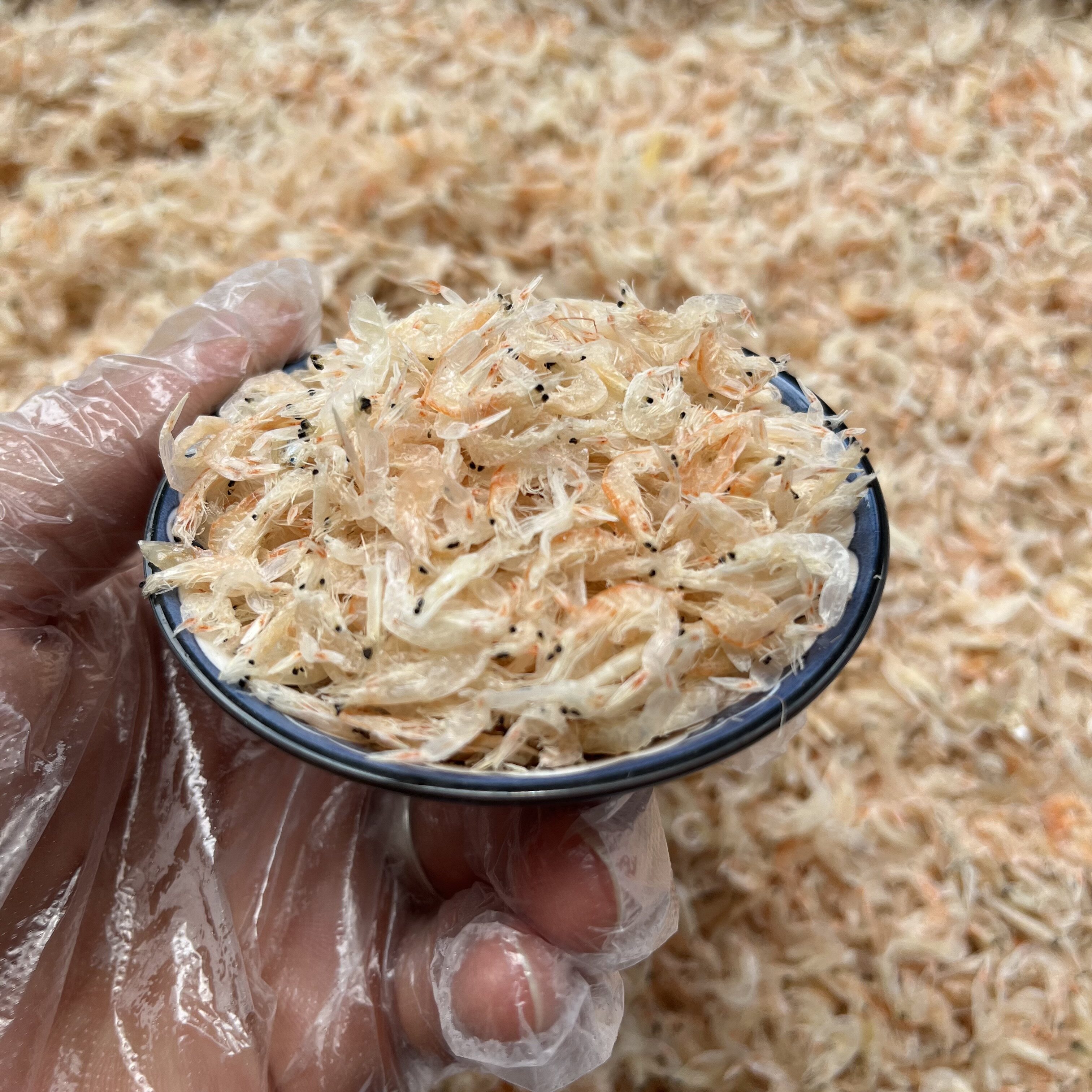 福建漳州特产六鳌虾皮干货营养高蛋白补钙零食新货淡干虾皮虾米熟