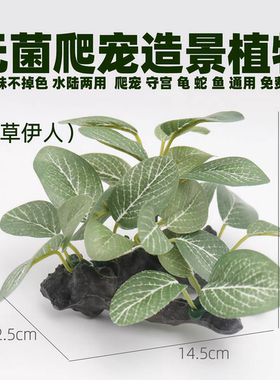 宠物造景仿真绿植生态模拟大自然饲养箱套装蛇缸丰容爬宠守宫用品