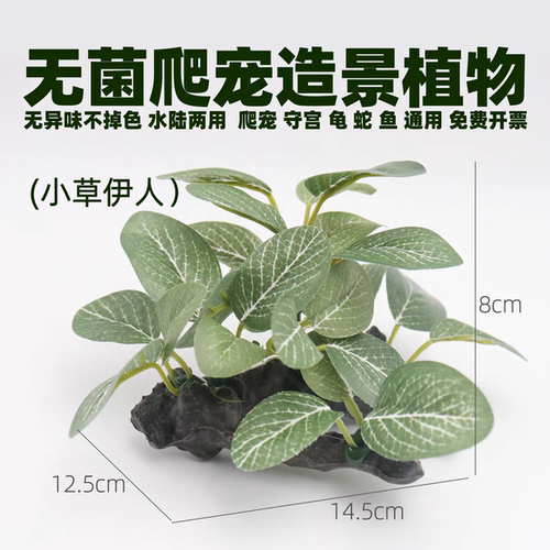 宠物造景仿真绿植生态模拟大自然饲养箱套装蛇缸丰容爬宠守宫用品