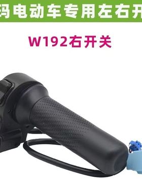 电动车W192开关总成适用爱玛露娜W290春夏2024E Mico大灯修复P档