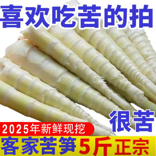 苦笋江西新鲜苦笋赣南野生苦笋竹笋春笋清水现挖去壳非广西福建