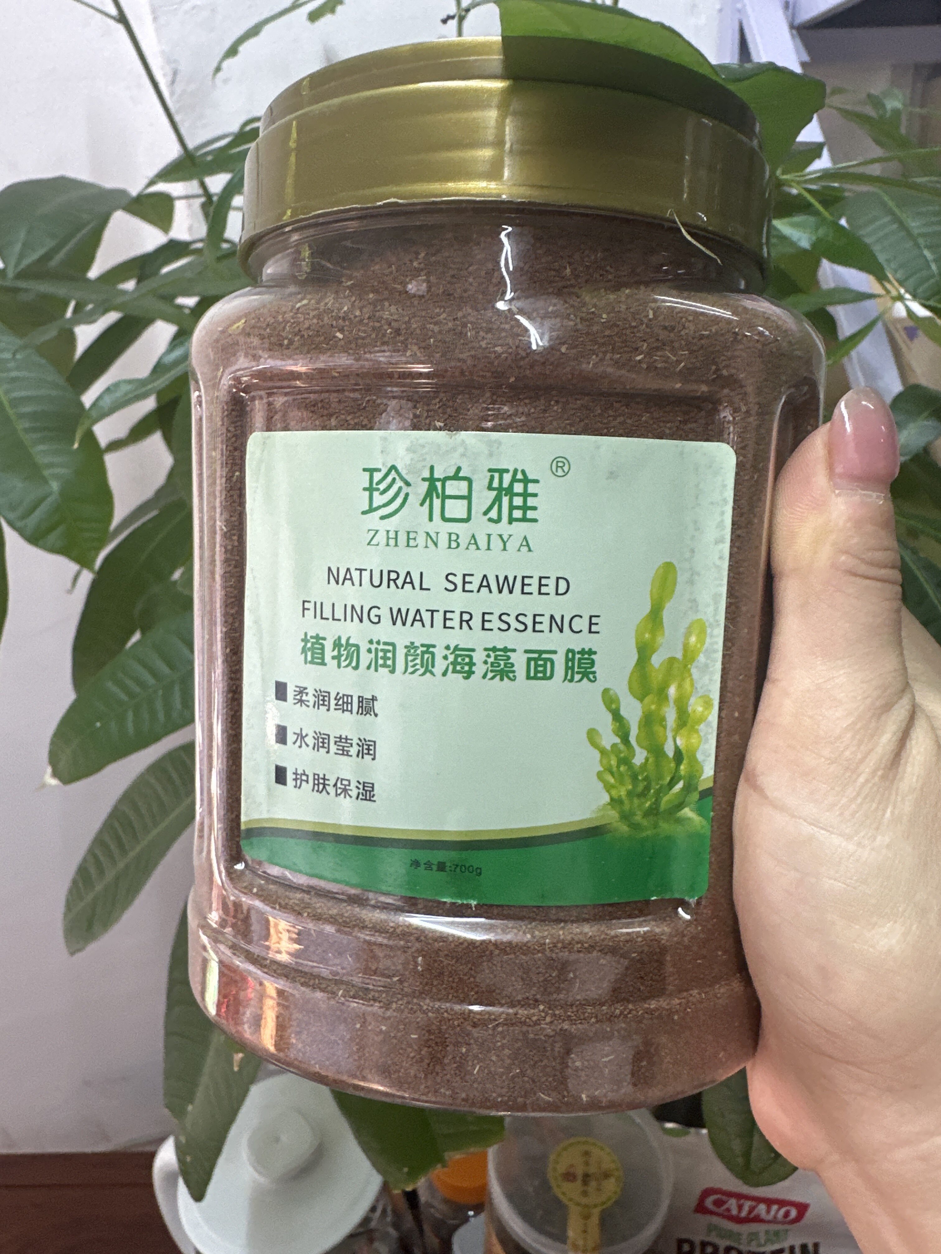 珍柏雅植物润颜海藻面膜柔润细腻水润盈透补水面贴膜海藻胶原