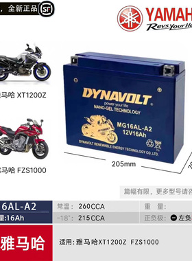 雅马哈电瓶XT1200Z FZS1000替代汤浅YB16AL-A2摩托车12V猛狮电池