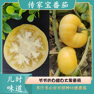 传家宝四季大白番茄种子