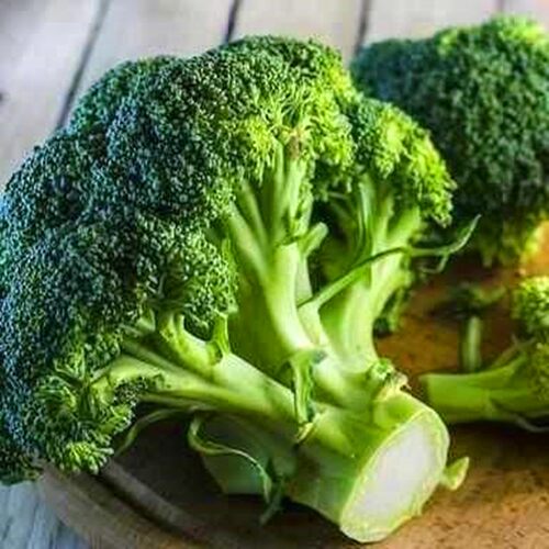 西兰花种子西蓝花种籽青花椰菜花菜菜花高产四季蔬菜先正达蔓陀绿