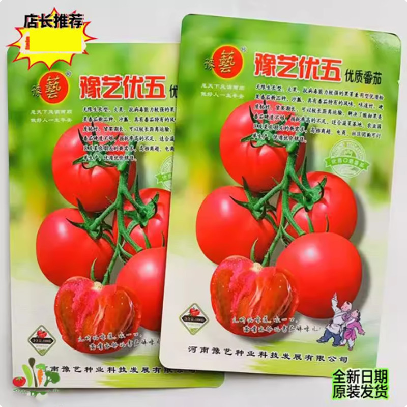 豫艺优五大果口感番茄种子草莓西红柿种籽沙瓤口感好四季蔬菜种籽
