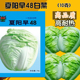 包邮 夏阳早白菜种子耐热高产黄心芯大白菜种籽夏秋蔬菜四季 抗病