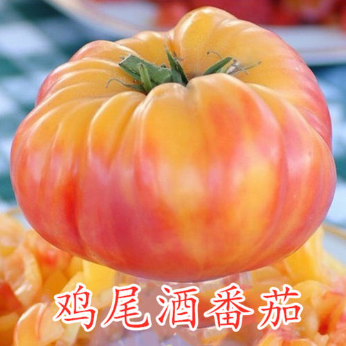 传家宝四季鸡尾酒番茄种子