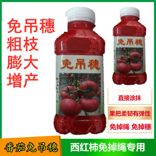 西红柿免吊穗铁把钢把粗把不挂穗膨果快免吊绳果柄柔性高产包邮