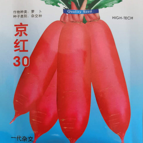红萝卜种子水果萝卜种籽红皮白肉萝卜生吃脆甜蔬菜四季高产包邮