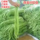 豇豆种子高产豆角种籽白绿色长豆角顺直荚长抗高温低温 包邮 白玉川