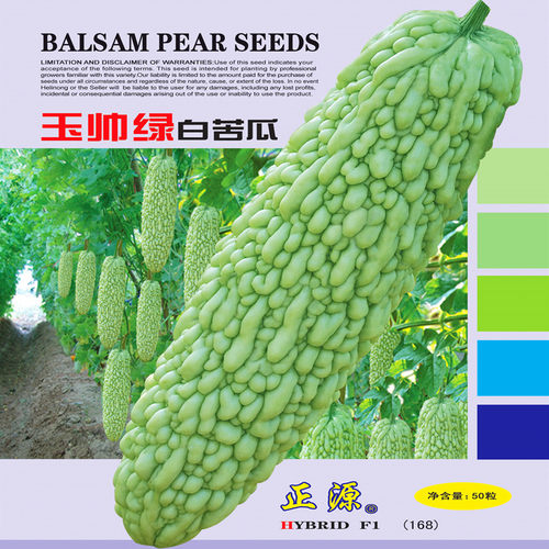 白苦瓜种子绿白珍珠苦瓜种籽肉厚高产早熟瓜长皮白蔬菜四季玉帅绿