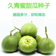 久青蜜甜瓜种子绿皮绿肉香瓜种籽薄皮甜瓜绿宝石高产糖度高 包邮