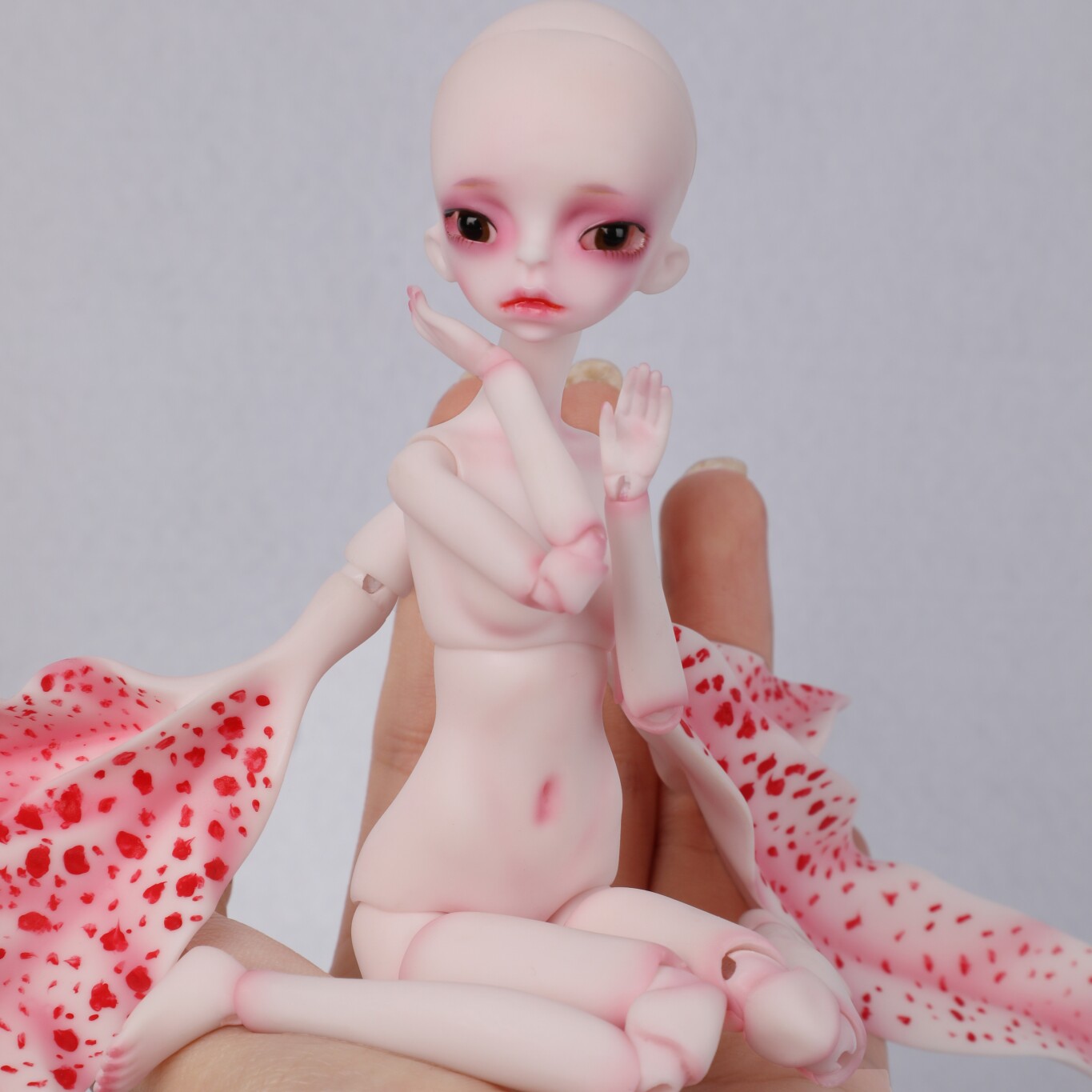 sd娃娃萌宠关节人偶特价包邮