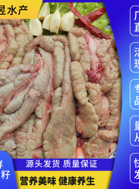 鲤鱼籽鱼白鱼泡鱼鳔鱼杂鲢鱼鱼肚