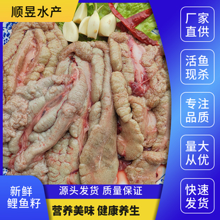 新鲜鲤鱼鱼籽鱼泡鱼白鱼鳔鱼杂鲢鱼鱼肚鱼子鱼籽酱鱼卵顺丰包邮