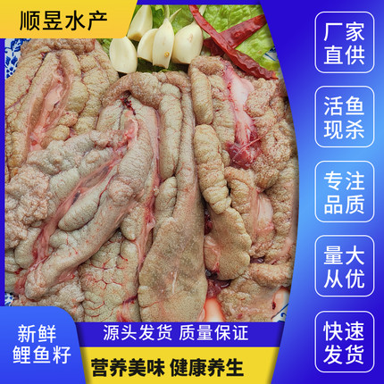 新鲜鲤鱼鱼籽鱼泡鱼白鱼鳔鱼杂鲢鱼鱼肚鱼子鱼籽酱鱼卵顺丰包邮