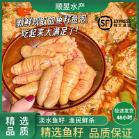 新鲜鱼籽鱼泡商用批发鲈鱼籽鱼白鱼蛋鱼杂鲤鱼籽生鱼籽顺丰包邮