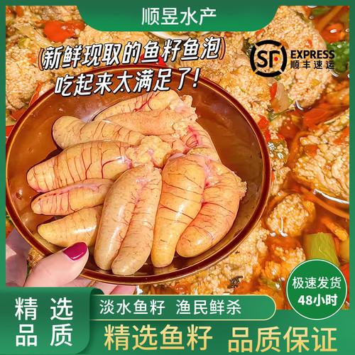精品鱼籽鱼泡鱼白顺丰包邮