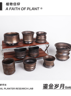 潮流块根植物龙舌兰龟甲龙块根SRL花盆陶瓷NEIGHBORHOOD野村豪人