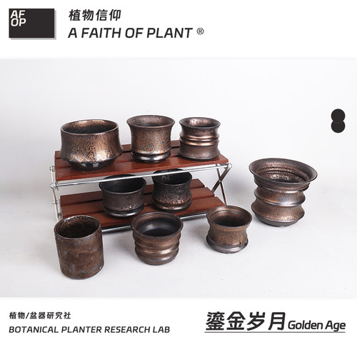 潮流块根植物龙舌兰龟甲龙块根SRL花盆陶瓷NEIGHBORHOOD野村豪人