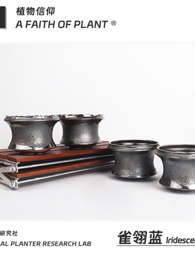 潮流块根植物龙舌兰龟甲龙块根SRL花盆陶瓷NEIGHBORHOOD野村豪人