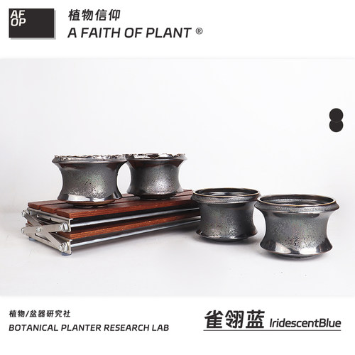 潮流块根植物龙舌兰龟甲龙块根SRL花盆陶瓷NEIGHBORHOOD野村豪人