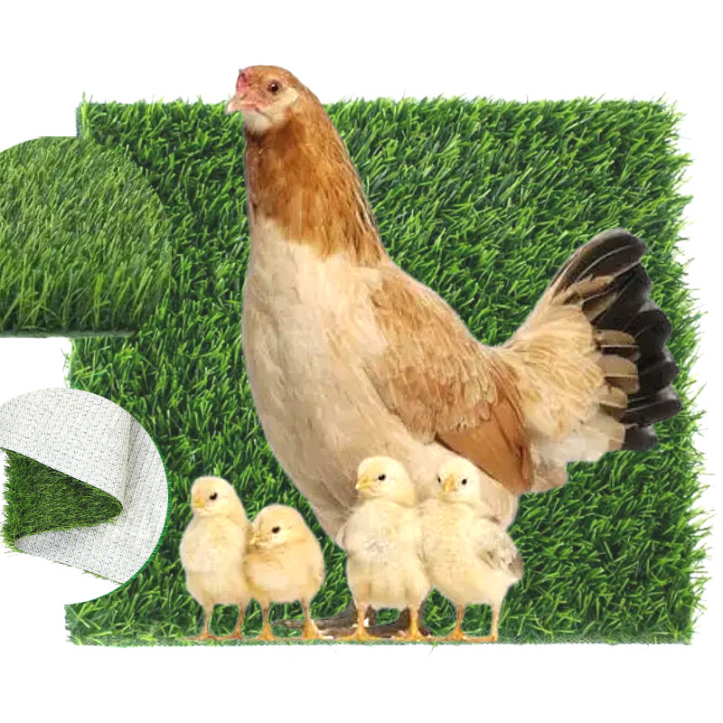 仿真草坪自然风家用装饰人造草皮绿草白底鸡窝垫保暖易清洗鸡窝巢,鲜花速递/花卉仿真/绿植园艺,仿真绿植,淘宝优惠券,粉丝福利购,淘宝优惠卷