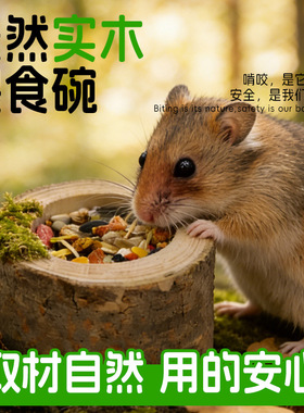 仓鼠食盆食器喂水器造景树洞树桩实木窝木制森林健康绿色金丝熊屋